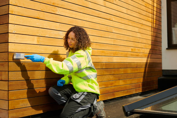 Best Custom Trim and Detailing for Siding  in Ketchikan, AK