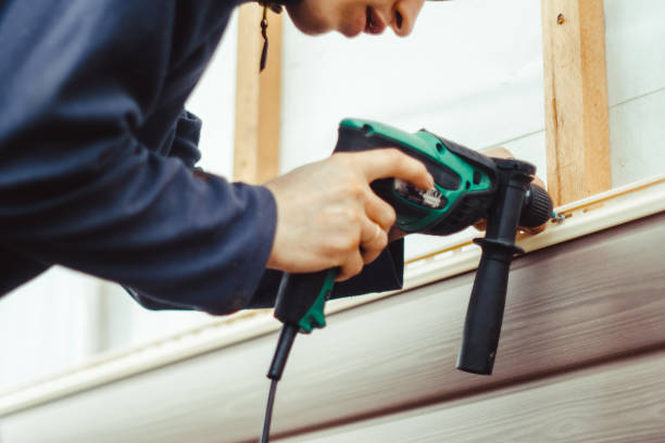 Best Vinyl Siding Installation  in Ketchikan, AK